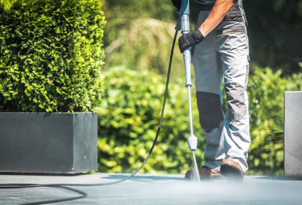 Best Gutter Cleaning  in West Milton, PA